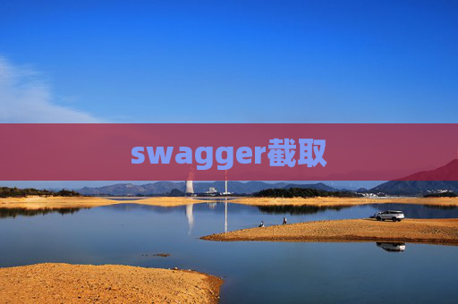 swagger截取